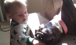 Bé cực dễ thương khi chơi đùa với cún