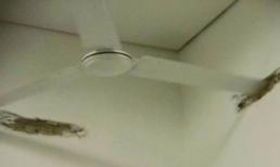 'Không tin nổi' với những đồ dùng vô dụng nhất quả đất