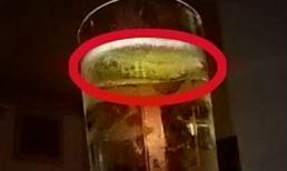 Ghê rợn phát hiện sên trong rượu táo đang uống dở