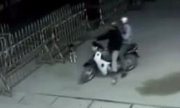 9 pha trộm chó 'máu lạnh' nhất Việt Nam ghi từ camera