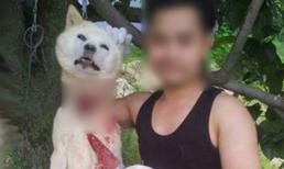 Anh chàng khoe ảnh thịt chó khiến cộng đồng 'sục sôi lửa giận'