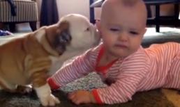 Khoảnh khắc dễ thương của bé yêu và chó khi chơi đùa