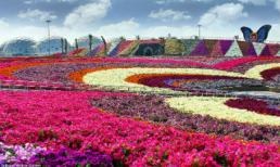 Chiêm ngưỡng vườn hoa lớn nhất thế giới