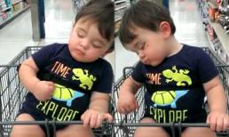 Em bé vừa đi siêu thị vừa ngủ gật siêu dễ thương