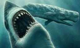 Top 10 quái vật thời tiền sử đáng sợ nhất dưới biển