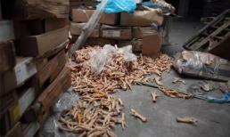 Bắt giữ 100.000 tấn thịt thối để 40 năm, chuẩn bị tuồn sang Việt Nam