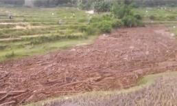 Kinh hoàng lũ quét ùn ùn ở Sông Mã, Sơn La