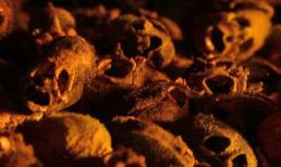 Thực vật có hình dáng giống cơ thể người 