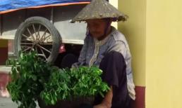 Rơi nước mắt cụ bà bán rau kiếm 10000 đồng/ngày
