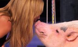 Chú lợn thông minh gây sốt American’s Got Talent