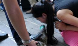 Nữ sinh tốt nghiệp phải hôn cá sấu mới được tuyển dụng làm việc