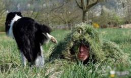 Cười 'rớt hàm' với những hình ảnh hài hước