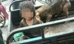 Bé trai 7 tuổi phải sống trong chuồng lợn quanh năm