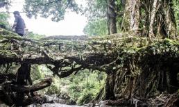 Khám phá những cây cầu tự nhiên tại nơi ẩm ướt nhất hành tinh