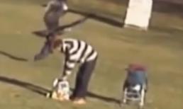 Những pha tấn công bất ngờ của động vật với con người