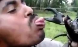 Nghịch dại với cua