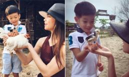 Hồ Ngọc Hà vui vẻ chơi đùa cùng con trai Subeo