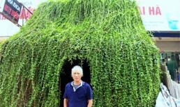 Ngỡ ngàng trước 'ngôi nhà kì dị' của ông lão 70 tuổi giữa lòng Hà Nội