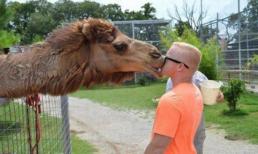 Cười nghiêng ngả với loạt ảnh hài hước về động vật (P2)