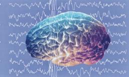 Loạt sự thật không tưởng về bộ não