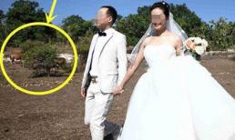 Cặp đôi bức xúc khi phải chi 100 triệu chụp ảnh cưới với bò ở đảo Bali