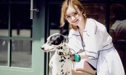 Em gái Angela Phương Trinh sành điệu xuống phố cùng thú cưng
