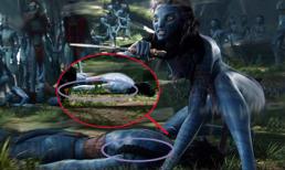 Bắt lỗi phim 'Avatar' đình đám từng làm 'mưa gió' các bảng xếp hạng