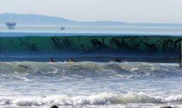 15 bức ảnh nhìn 'toát mồ hôi' 