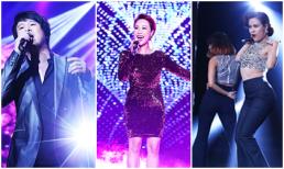 Nghệ sĩ Việt biểu diễn kêu gọi 'Chấm dứt sử dụng sừng tê giác'