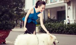 Angela Phương Trinh lĩnh thù lao đóng phim bằng chó cưng