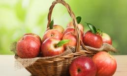 Thực phẩm hỗ trợ tiêu hóa nên có trong nhà