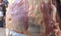 Miếng thịt bò bị cắt rời vẫn động đậy khiến nhiều người hoảng sợ