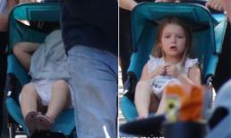 Bé Harper trùm kín mặt nằm ngủ trên xe đẩy