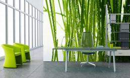 Trang trí nội thất tuyệt đẹp với tranh tường