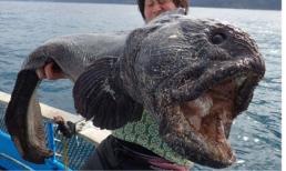 Bắt được loài cá có hình dạng kinh dị khiến nhiều người khiếp sợ