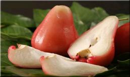 Tác dụng của quả roi đối với sức khỏe