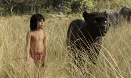'The Jungle Book' - Sự trở lại của cậu bé rừng xanh trong trailer đầu tiên