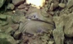 Người đàn ông bị chôn sống khi rơi xuống hố vì say rượu