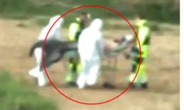 Xôn xao video lạ phát hiện 'người cá' bên bờ hồ