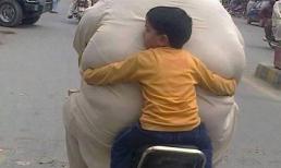 Khoảnh khắc 'khó đỡ' của những người béo phì