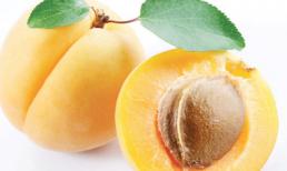 Khám phá những lợi ích to lớn từ quả mơ