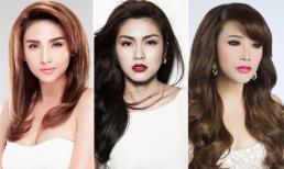 Sao Việt giải nghệ khi đang ở đỉnh cao sự nghiệp