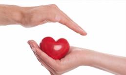 Top thực phẩm tốt cho người có cholesterol cao