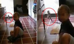 Phát hiện sinh vật kỳ lạ như yêu tinh