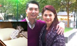 Ca sĩ Thanh Thảo khoe nhẫn cưới kim cương