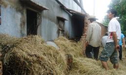Đốt rơm gây cháy nhà, 2 em bé chết thảm
