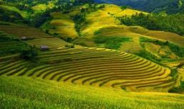 5 điểm du lịch ngắm ruộng bậc thang tuyệt đẹp