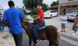 Con trai Jennifer Phạm - Quang Dũng ngày càng chững chạc, bảnh bao