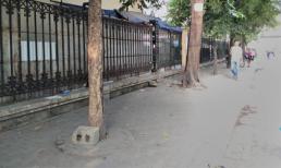  Cuộc truy tìm chủ nhân 5 bánh heroin bỏ ở quán nước