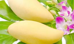 Những lý do bạn nên ăn xoài